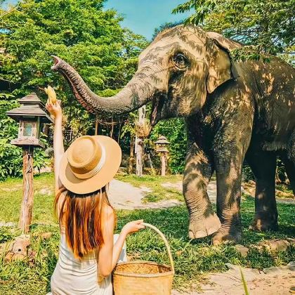 泰国曼谷+芭堤雅6日5晚跟团游