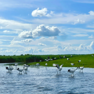 哈尔滨+伊春+五大连池市+齐齐哈尔7日6晚跟团游