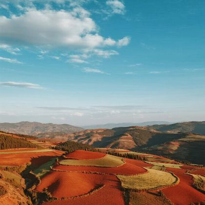 昆明+普者黑景区+元阳+抚仙湖+东川红土地5日4晚私家团