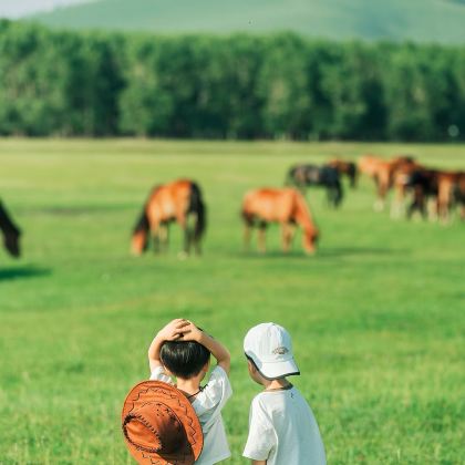呼和浩特+希拉穆仁草原+响沙湾6日5晚跟团游