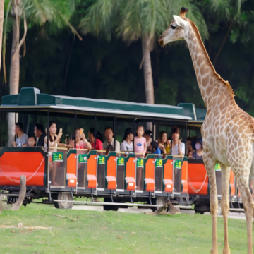 中国广东广州长隆旅游度假区2日1晚私家团