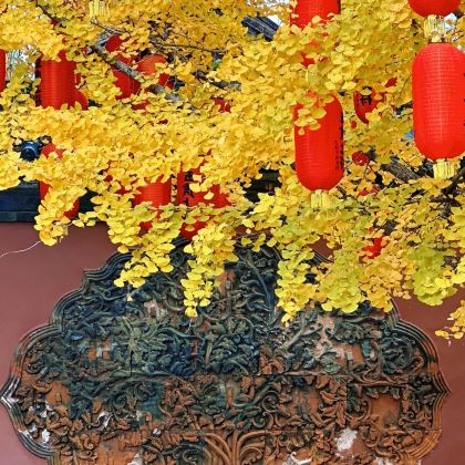 阆中古城+朱德故里景区+凌云山风景区+南津关古镇3日2晚自由行