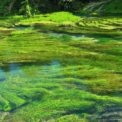 新西兰南岛+北岛13日12晚私家团