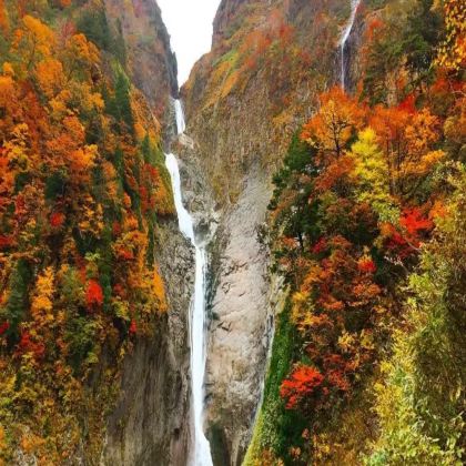 日本东京+日光市+茨城+春日部市6日5晚拼小团