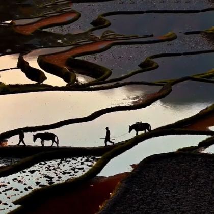 云南昆明+抚仙湖+建水+元阳+蒙自+河口+弥勒+石林8日7晚拼小团