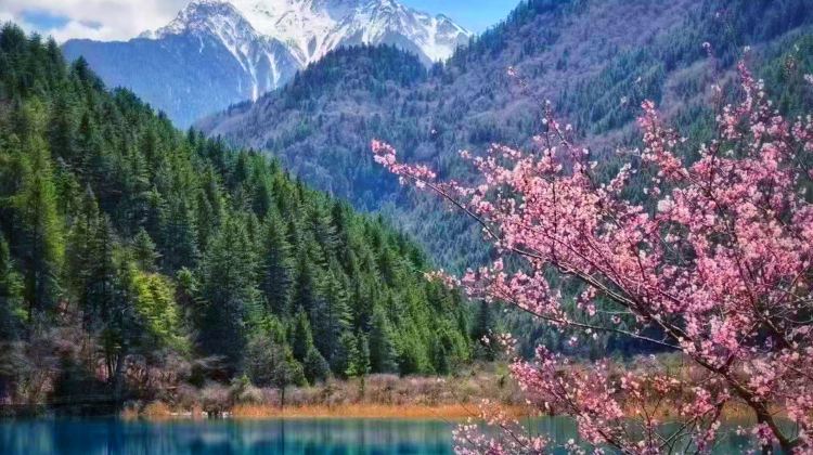 12-day 11-night · Group Tours · Chongqing + Hongya Cave + Chengdu + Zhangjiajie + Jiuzhaigou National Park + Huanglong National Scenic Area + Fenghuang Ancient Town