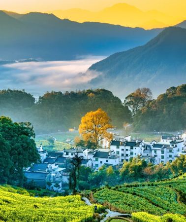 5D4N • Wuyuan + Sanqingshan Mount Scenic Area + Wangxian Valley + Ge's Fairy Village
