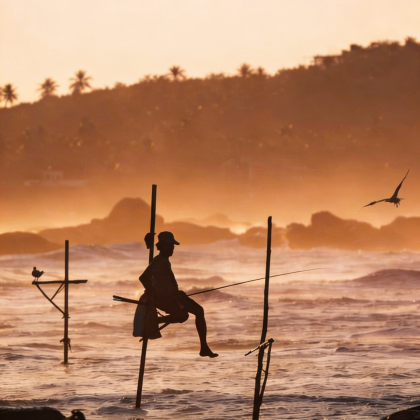 斯里兰卡9日7晚私家团