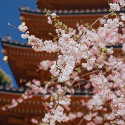 日本福冈4日3晚自由行