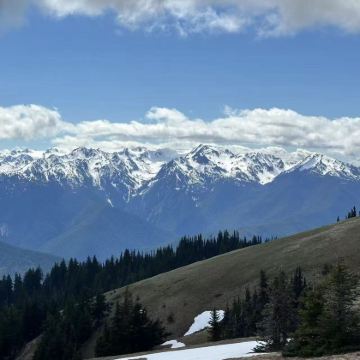 美国西雅图+旧金山4日私家团