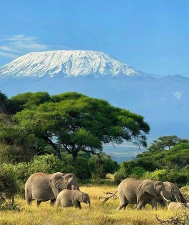 7D6N • Amboseli + Tanzania