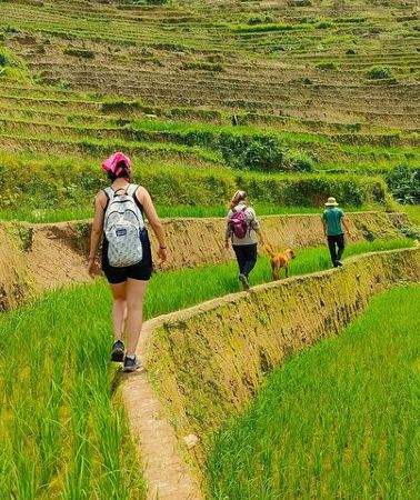 2D1N • From Hanoi: 2D1N Mu Cang Chai Private Trekking & Homestay