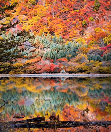 2D1N • Autumn splendor: Jiuzhaigou & Huanglong by high-speed rail - entry guaranteed, round-trip tickets & all transit included