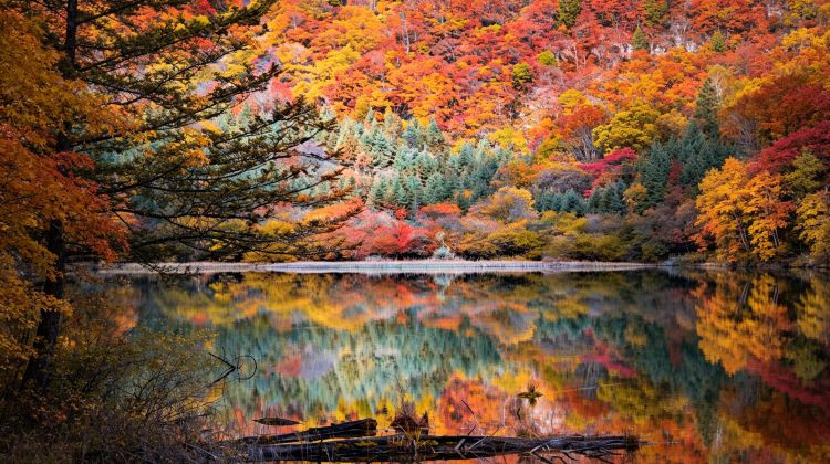 5-Day Autumn Splendor with Guaranteed Jiuzhaigou Entry & Train Tickets: Sanxingdui - Jiuzhaigou & Huanglong by High-Speed Rail - Dujiangyan & Panda Valley - Bipenggou Fall Colors