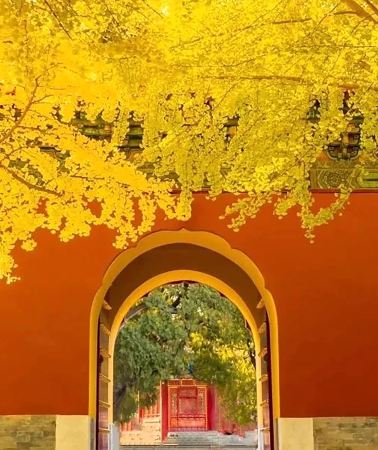 4D3N • Best Deal: Imperial Beijing Explorer  Palaces, Great Wall & Temples