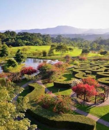 4D3N • Xishuangbanna 4-Day Private Tour: Jungle, Tea & Temples