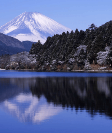 2D1N • From Tokyo: 2-Days Private Izu, Hakone, Kamakura, & Yokohama