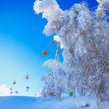 张家口密苑云顶乐园3日2晚私家团