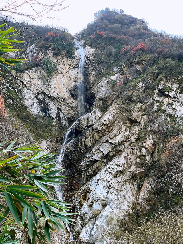 太平万花山风景区旅行图片 5