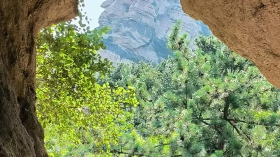 滾龍溝