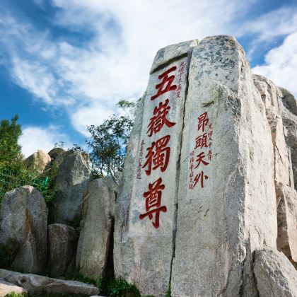 山东曲阜+泰山风景区+济南3日2晚跟团游