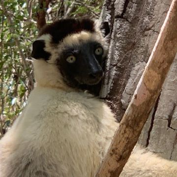 马达加斯加+留尼汪（法属）+毛里求斯+塞舌尔18日16晚私家团