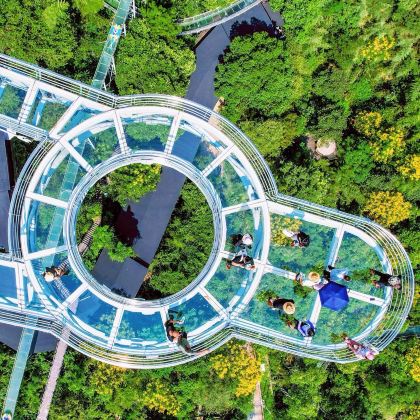 安吉+云上草原+南浔古镇4日3晚私家团