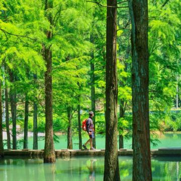 长沙+橘子洲景区+湖南省博物馆4日3晚私家团