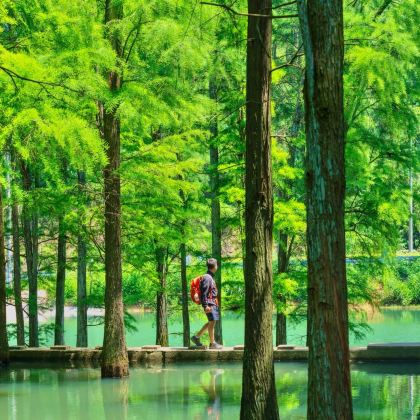 长沙+橘子洲景区+湖南省博物馆4日3晚私家团