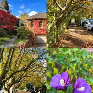 澳大利亚墨尔本+凯恩斯+悉尼13日12晚私家团