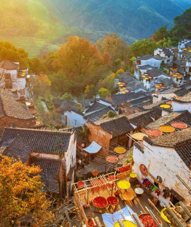 5日4晚 • 觀「廬山戀」電影＆｜南昌＋廬山＋景德鎮＋婺源＋三清山＋望仙谷金秋全線，篁嶺曬秋