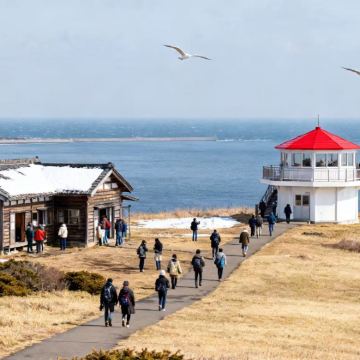日本东京+北海道11日10晚拼小团