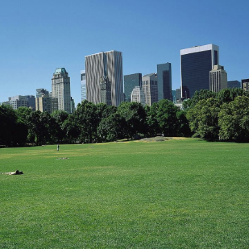 美国新泽西州大都会人寿体育场+纽约8日7晚私家团