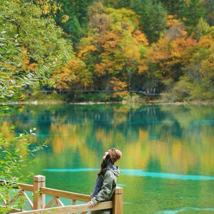 成都+九寨沟+黄龙风景名胜区+三星堆博物馆5日4晚私家团