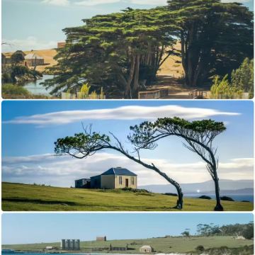 澳大利亚塔斯马尼亚霍巴特+玛丽亚岛+塔斯曼半岛+酒杯湾6日5晚拼小团