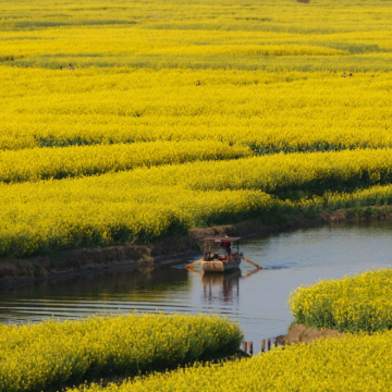 南京+扬州+无锡6日5晚拼小团