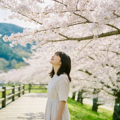 日本大阪+奈良市+京都+箕面市+神户+鸟取市9日8晚私家团