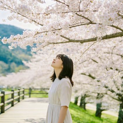 日本大阪+奈良市+京都+箕面市+神户+鸟取市9日8晚私家团