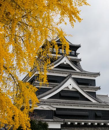 7天6晚 • 日本|福岡+鹿兒島縣+宮崎縣·賞楓名所(仙巖園、霧島神宮、「米其林景點推薦」太宰府～天滿宮、金鱗湖)、高千穗牧場、可口可樂工廠參觀、5晚溫泉飯店