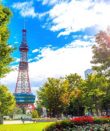 11D10N • Highlights of Japan