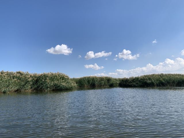 乌梁素海生态旅游景区(暂停开放)旅行图片 1