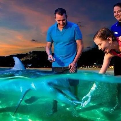 澳大利亚海豚岛天阁露玛度假村4日3晚拼小团