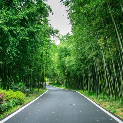 安吉+中国竹子博览园+藏龙百瀑+云上草原3日2晚自由行