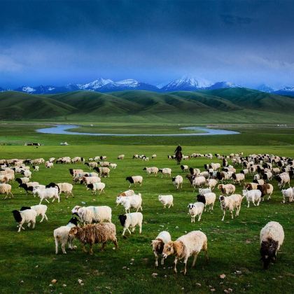 新疆北疆+伊犁+赛里木湖+那拉提7日6晚拼小团
