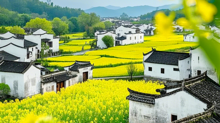 黄山市+5