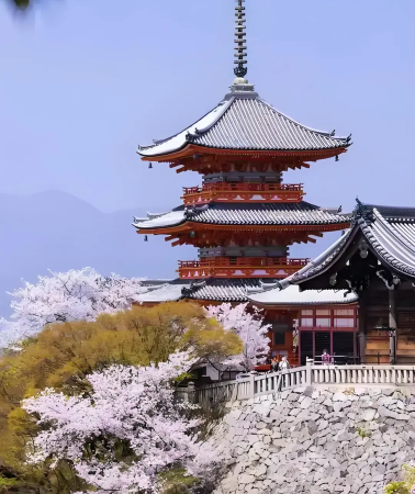 8D7N • Japan Osaka + Kyoto + Nara + Kinkaku-ji Temple + Kiyomizu-dera Temple + Kifune Shrine + Arashiyama + Nara City + Amanohashidate + Ine Fishing Village + Byodoin Temple, Kansai 9-person boutique small group, airport bus transfers