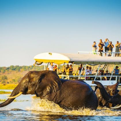 肯尼亚+南非14日12晚私家团