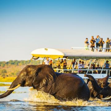 南非开普敦+博茨瓦纳8日7晚私家团