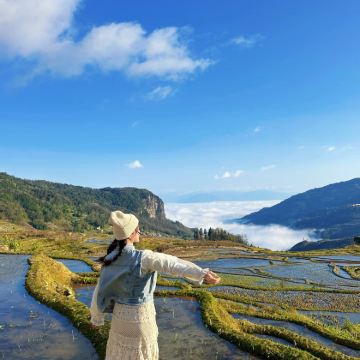 云南昆明+抚仙湖+建水+元阳+蒙自+普者黑风景区+泸西+弥勒+东川红土地+元谋11日10晚拼小团