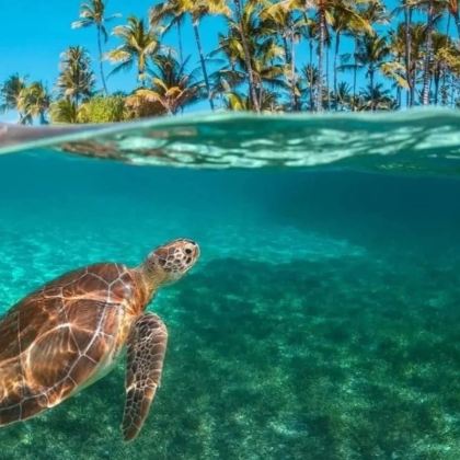 新西兰皇后镇+基督城+阿卡罗阿+特卡波湖+瓦纳卡+奥玛鲁+达尼丁+奥克兰+罗托鲁瓦+迪那桡岛17日16晚私家团